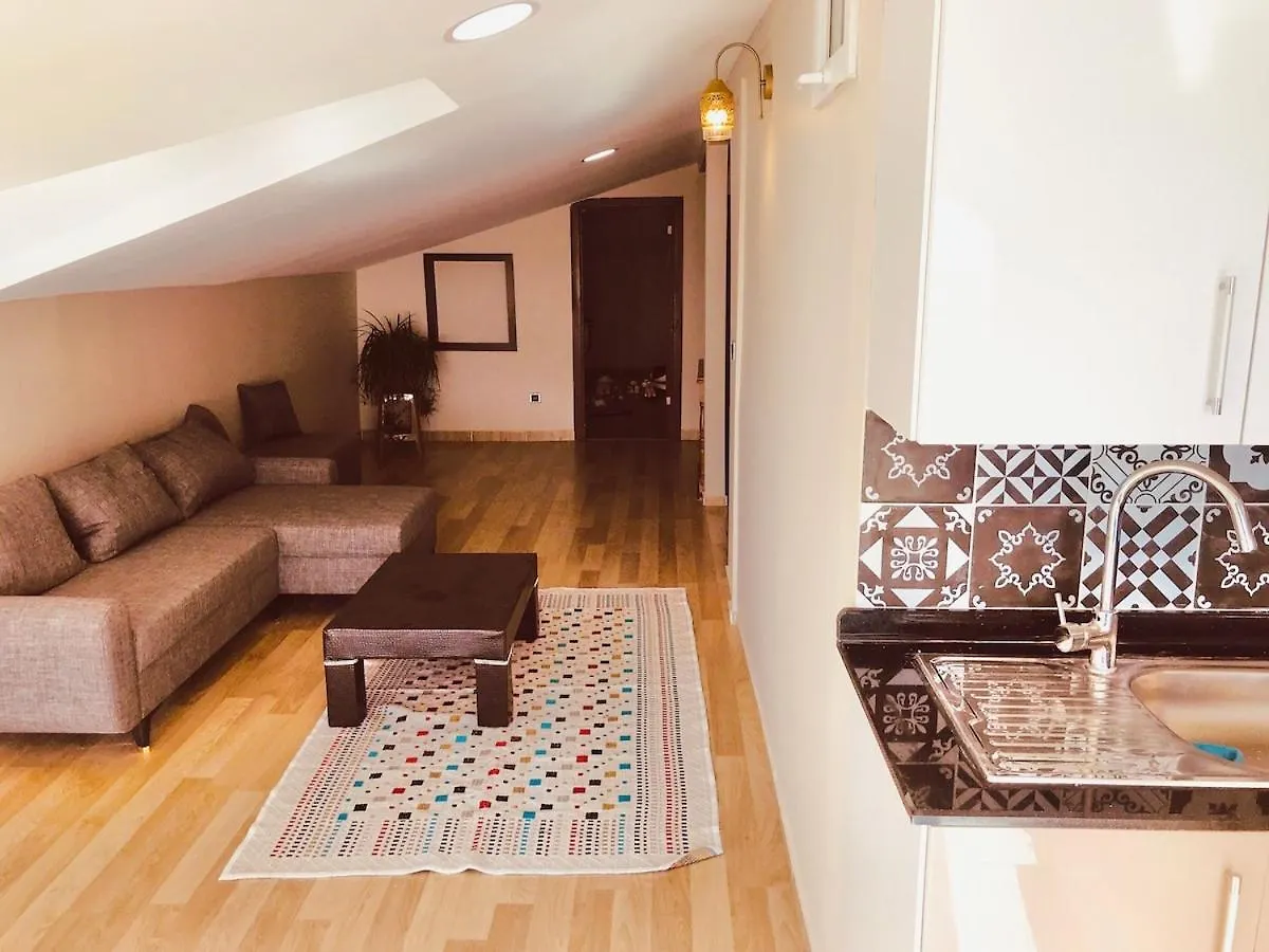Wide Family House Apartment Istanbul 0*,